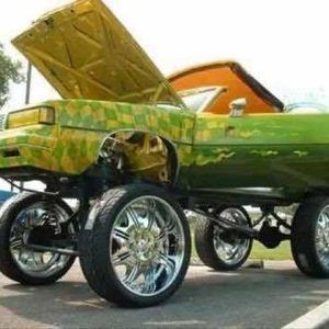 Meet your Posher, David